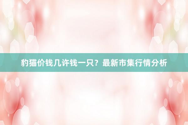 豹猫价钱几许钱一只？最新市集行情分析