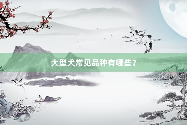 大型犬常见品种有哪些？